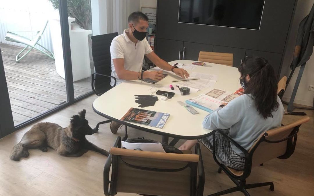 Inviter les animaux au bureau ?