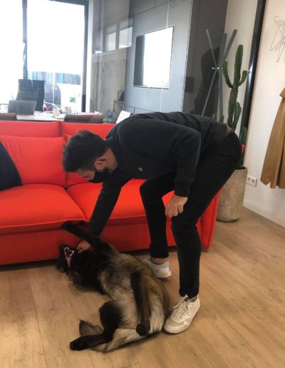 Ruby-les-animaux-au-bureau-article-duoconcept